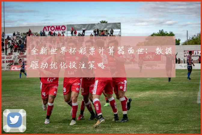 全新世界杯彩票计算器面世:数据驱动优化投注策略