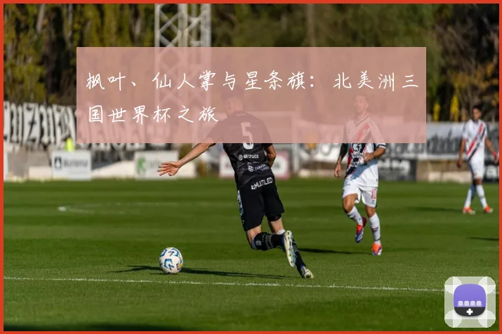 枫叶、仙人掌与星条旗：北美洲三国世界杯之旅