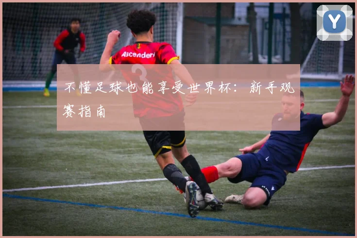 不懂足球也能享受世界杯：新手观赛指南