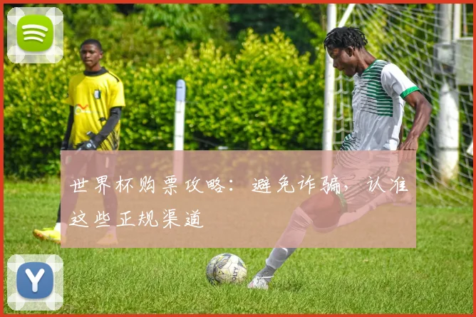 世界杯购票攻略：避免诈骗，认准这些正规渠道