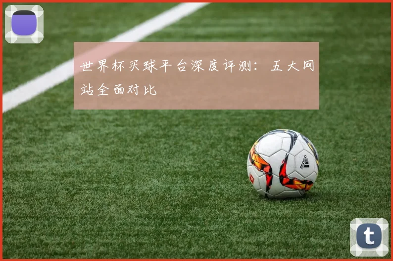 世界杯买球平台深度评测：五大网站全面对比